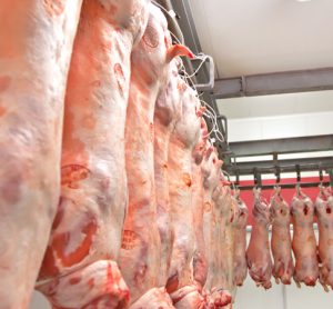 Meat wholesaler given conditional discharge for obstructing FSA inspection
