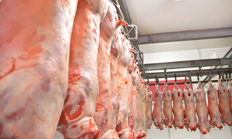 Meat wholesaler given conditional discharge for obstructing FSA inspection