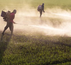 Record quantity of illegal pesticides seized from European market