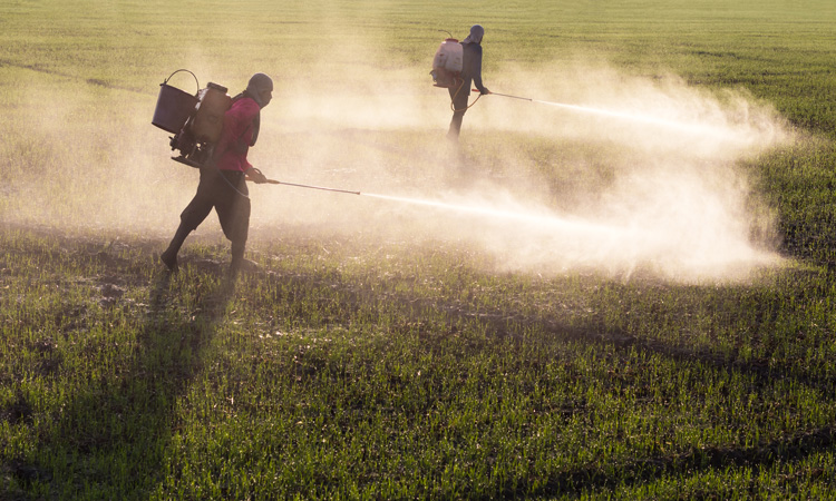 Record quantity of illegal pesticides seized from European market