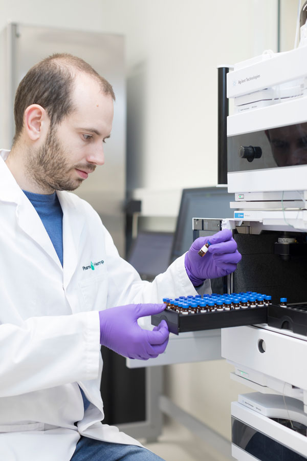 testing cannabinoids