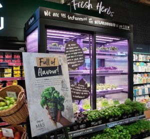 M&S to grow and harvest herbs in-store