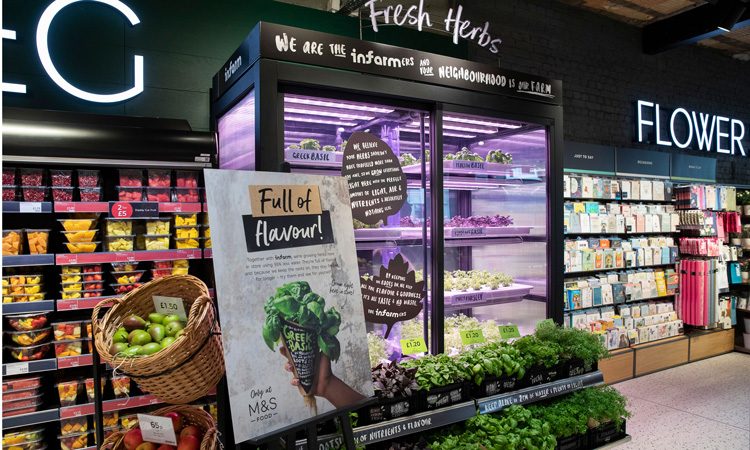 M&S to grow and harvest herbs in-store