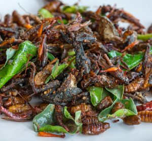 European project looks to advance edible insect industry