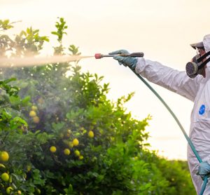 Insecticide researchers call for industry review