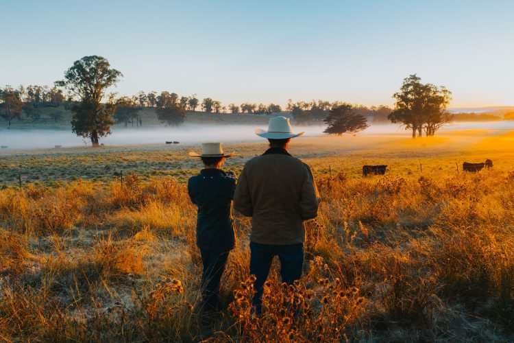 Australian Beef and Lamb