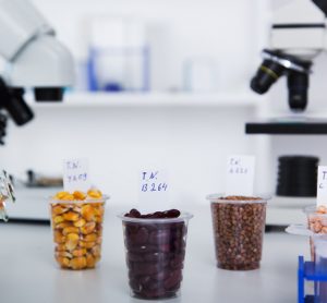 microscopes in PFAS lab