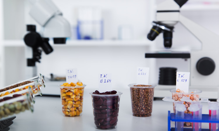 microscopes in PFAS lab