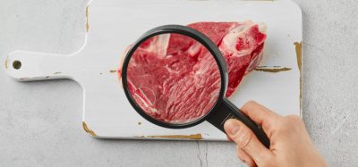 cultivated meat on plate