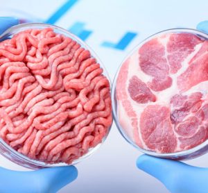 Meat