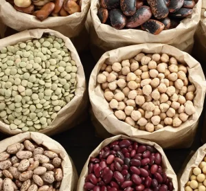 Undercooked beans pose lectin health risk, warns EFSA