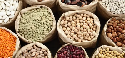 Undercooked beans pose lectin health risk, warns EFSA