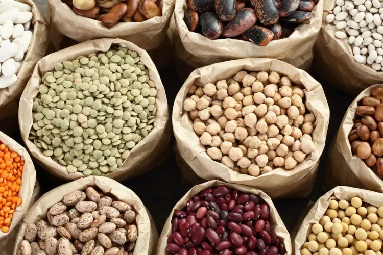 Undercooked beans pose lectin health risk, warns EFSA