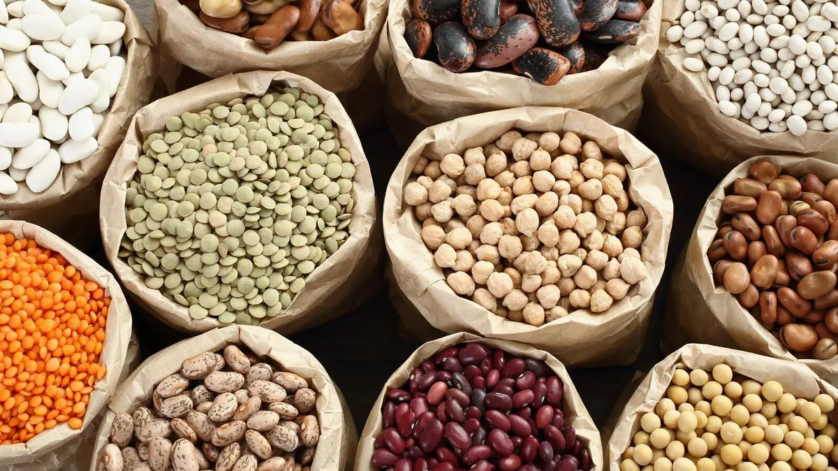 Undercooked beans pose lectin health risk, warns EFSA