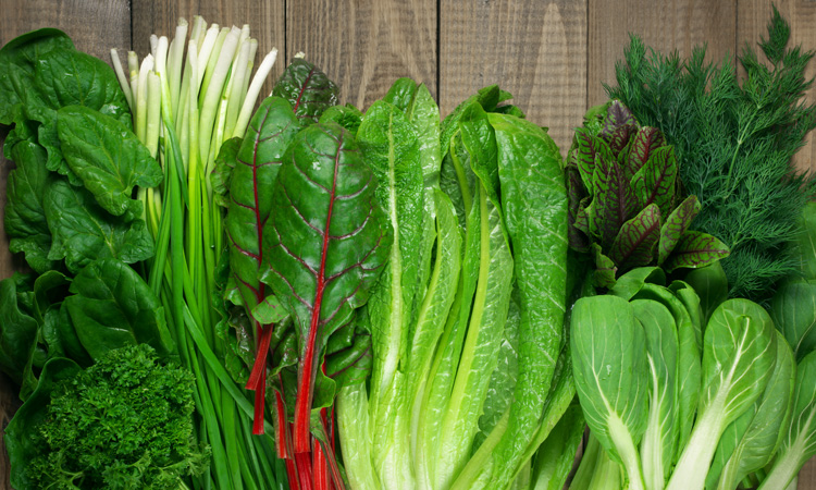 LGMA takes action to update leafy greens food safety practices