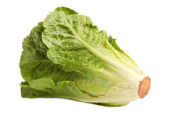 cos lettuce for GE article
