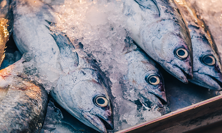 Histamine can be found in mackerel