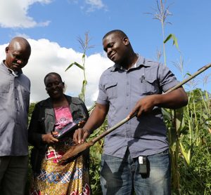 soil sample being taken in Malawi