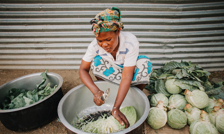 Double burden of malnutrition caused by changing food systems, says report