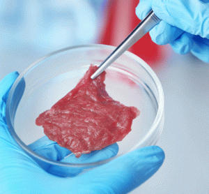 cultured meat