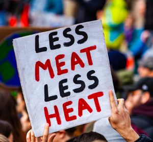 Report calls on EU to consider sustainability charge on meat