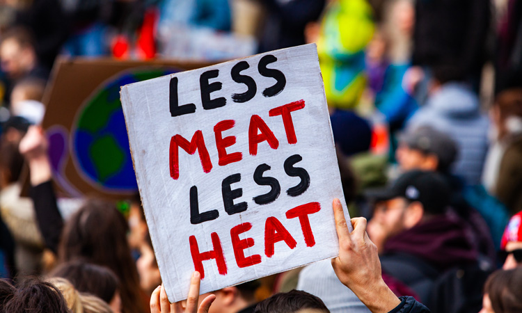 Report calls on EU to consider sustainability charge on meat