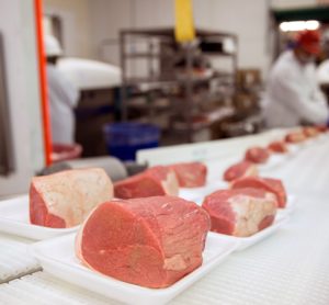 Dispute over meat sector working conditions