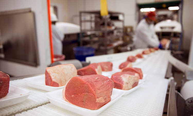 Dispute over meat sector working conditions