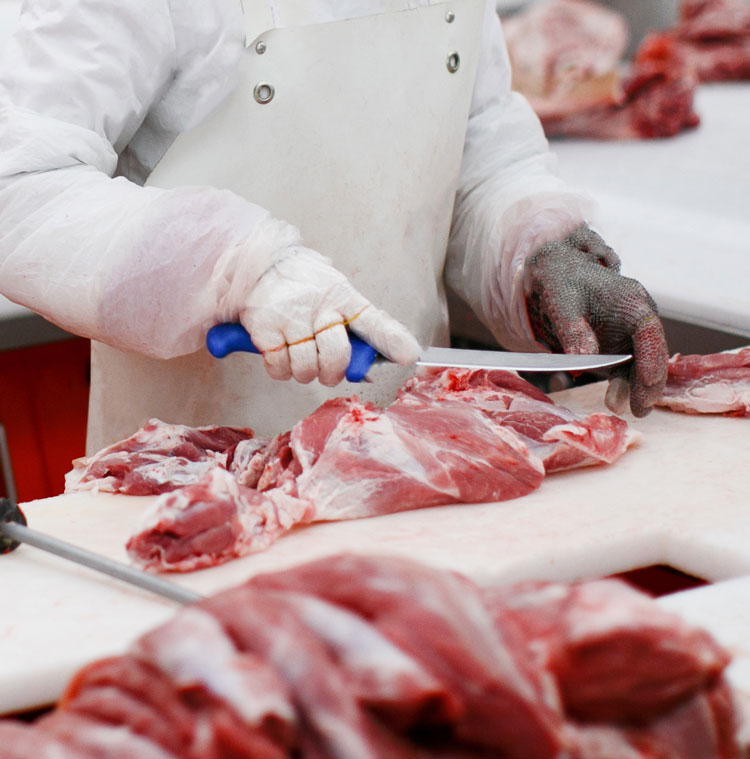 HACCP meat processing image