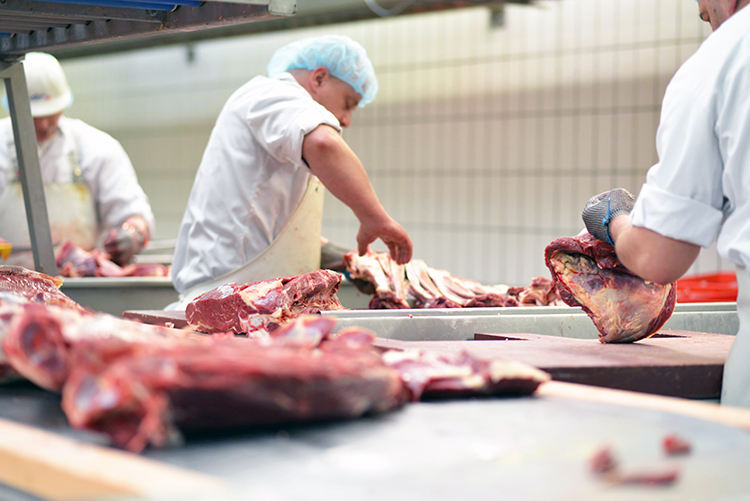 meat processing workers