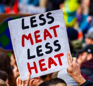 Climate financial model shows billions of dollars at risk in meat sector