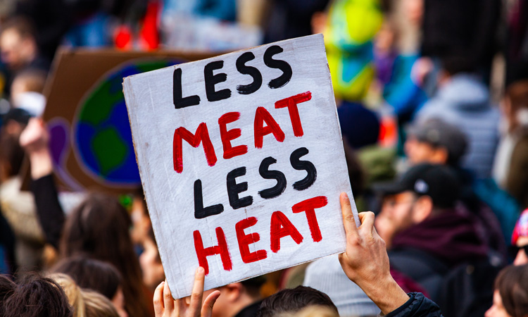 Climate financial model shows billions of dollars at risk in meat sector