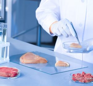 Researchers use computer models to predict meat cooking behaviours