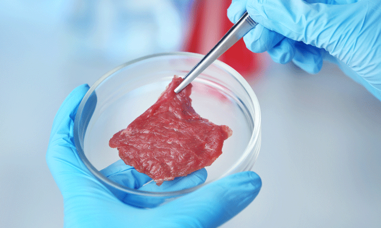 cultured meat