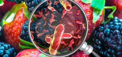 Food microbes image