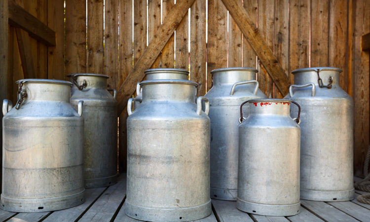 Dairy farmers call for action after having to dump excess milk