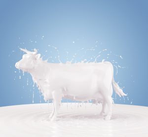 milk in shape of cow