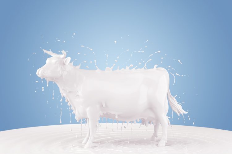 milk in shape of cow