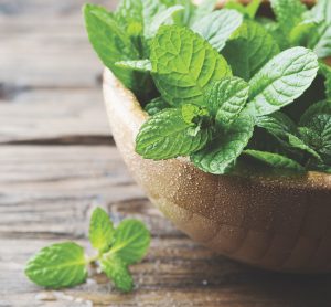 mint in bowl