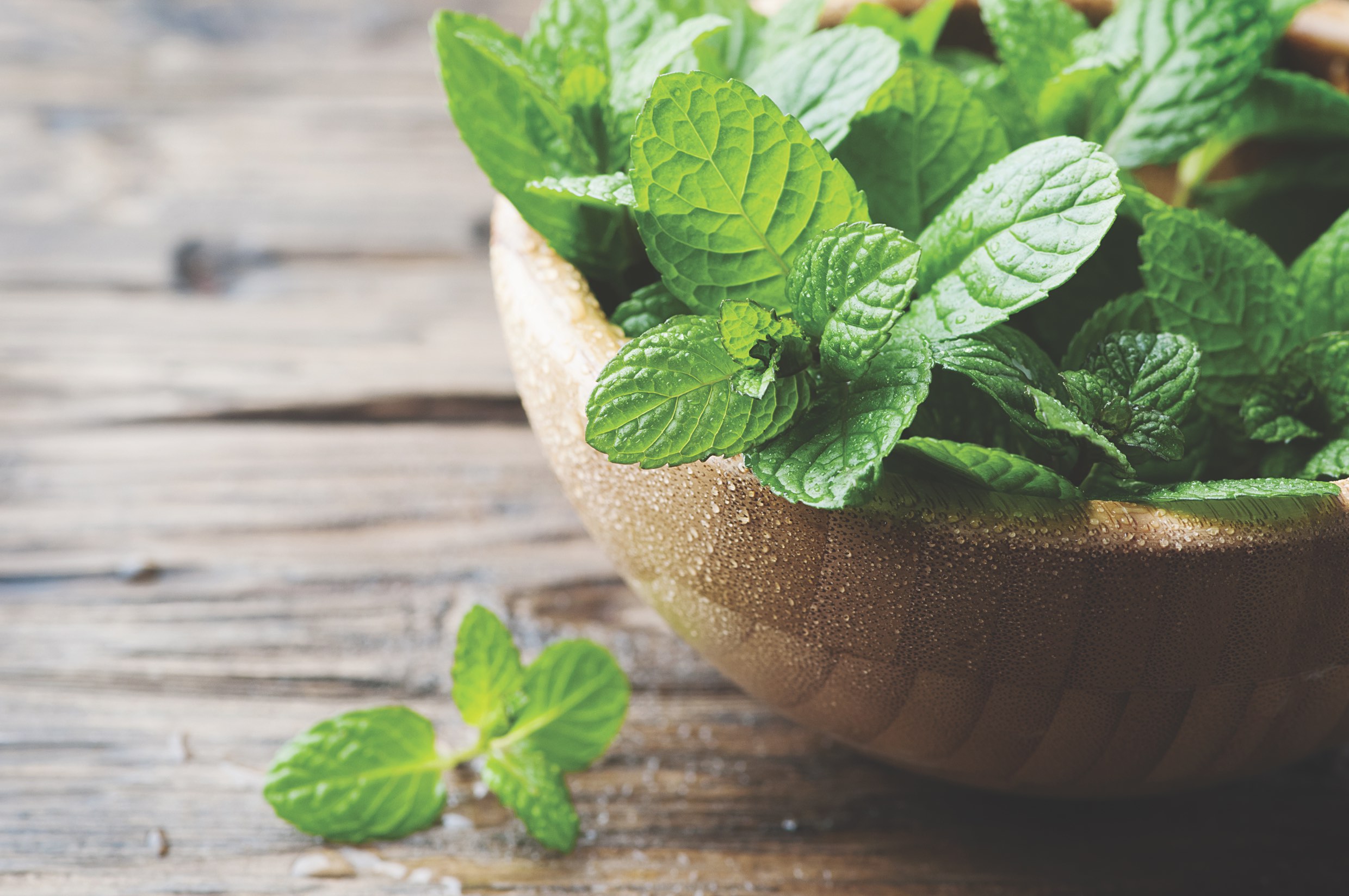 mint in bowl