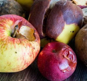 apples with mould growing