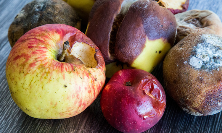 apples with mould growing