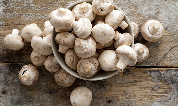 mushrooms provide several key nutrients