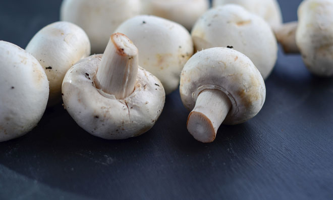 mushrooms-alzheimers