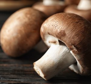 mushrooms are a key ingredient in reducing food waste