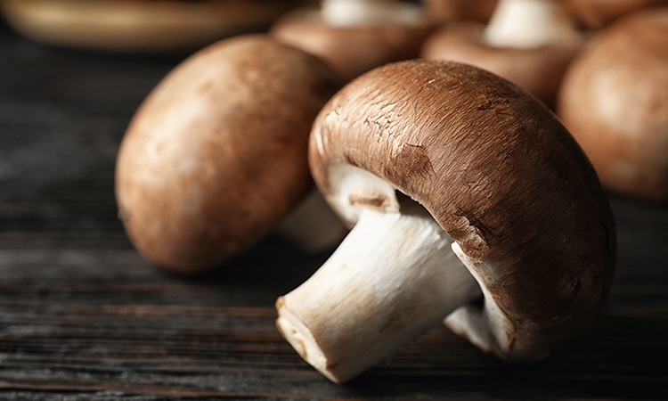 mushrooms are a key ingredient in reducing food waste