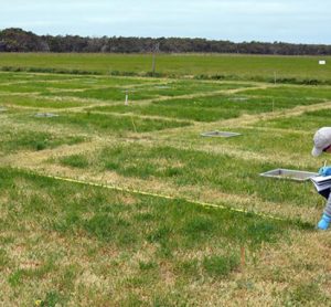 the amount of nitrogen lost by food was tested