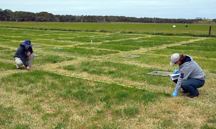 the amount of nitrogen lost by food was tested