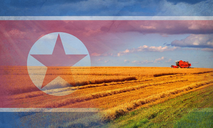 north-korea-fao-agriculture