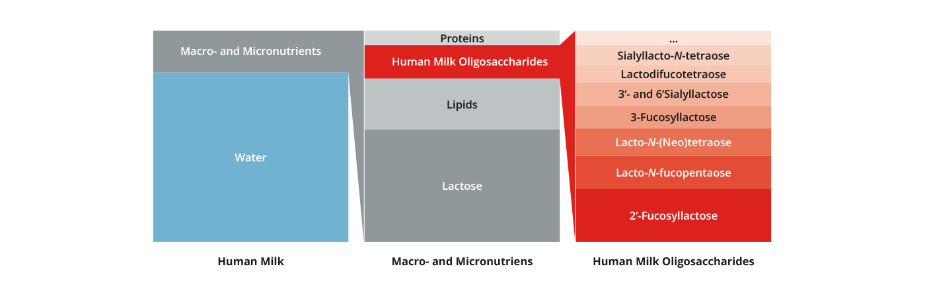 oligosaccharides